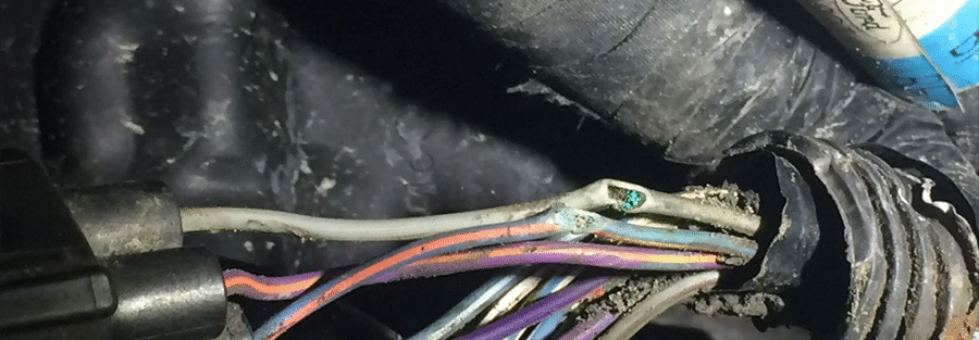 How Climate in South Carolina Affects Electrical Wiring Lifespan