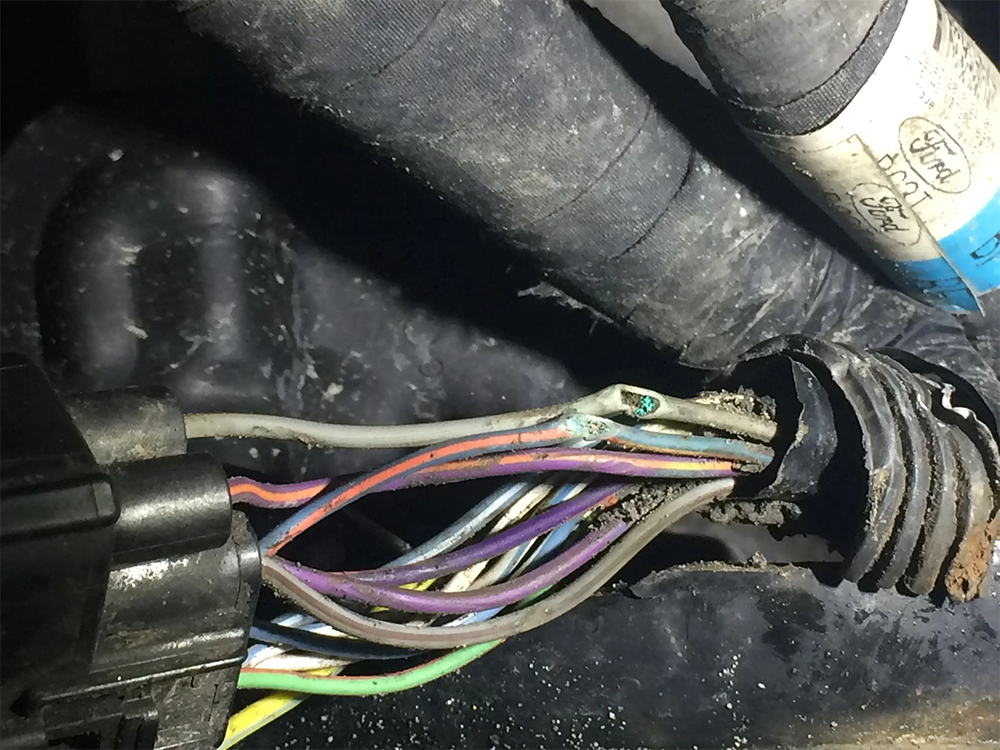 How Climate in South Carolina Affects Electrical Wiring Lifespan